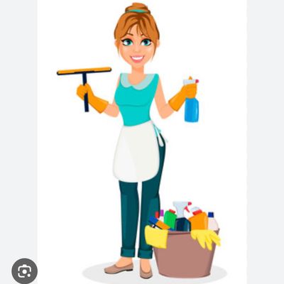 Avatar for The Perfectionist Cleaner