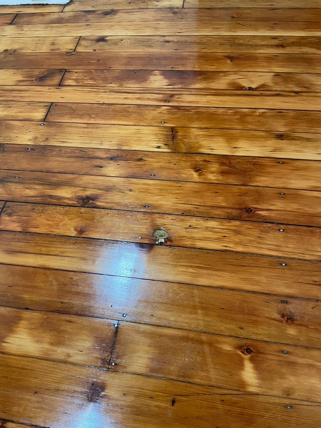 Great job finishing my floors for the 1910 Victori