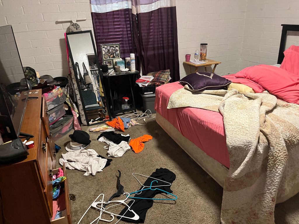 One bedroom apt before 