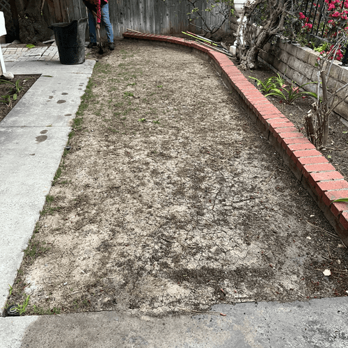 Sod Installation