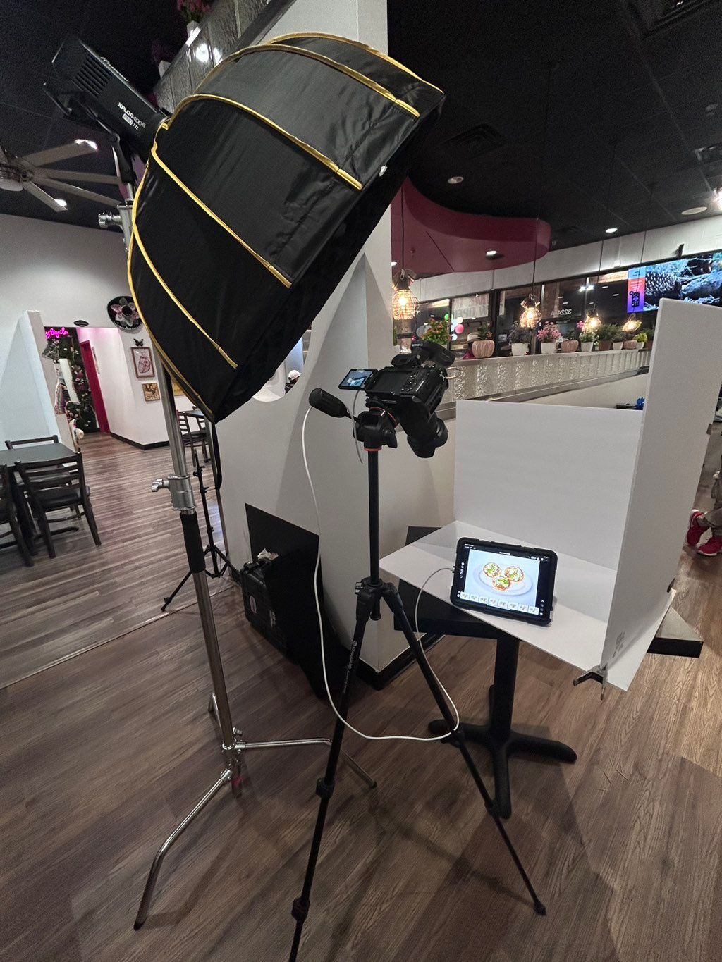 Projects and media