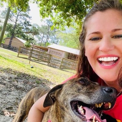 Avatar for Happy Tails Pet Sitting