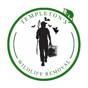 Avatar for Templeton's Wildlife Removal