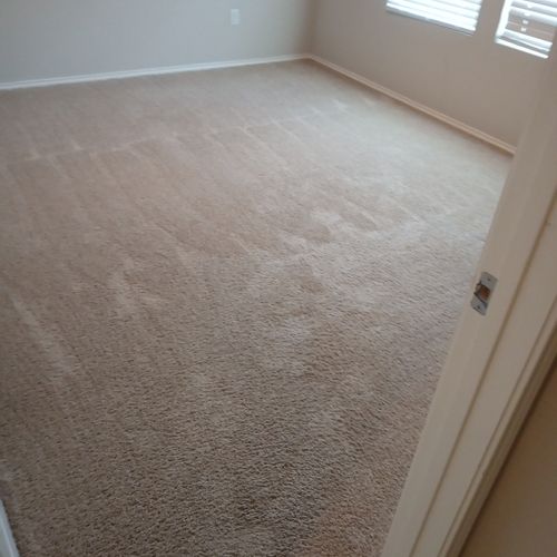 Carpet Cleaning