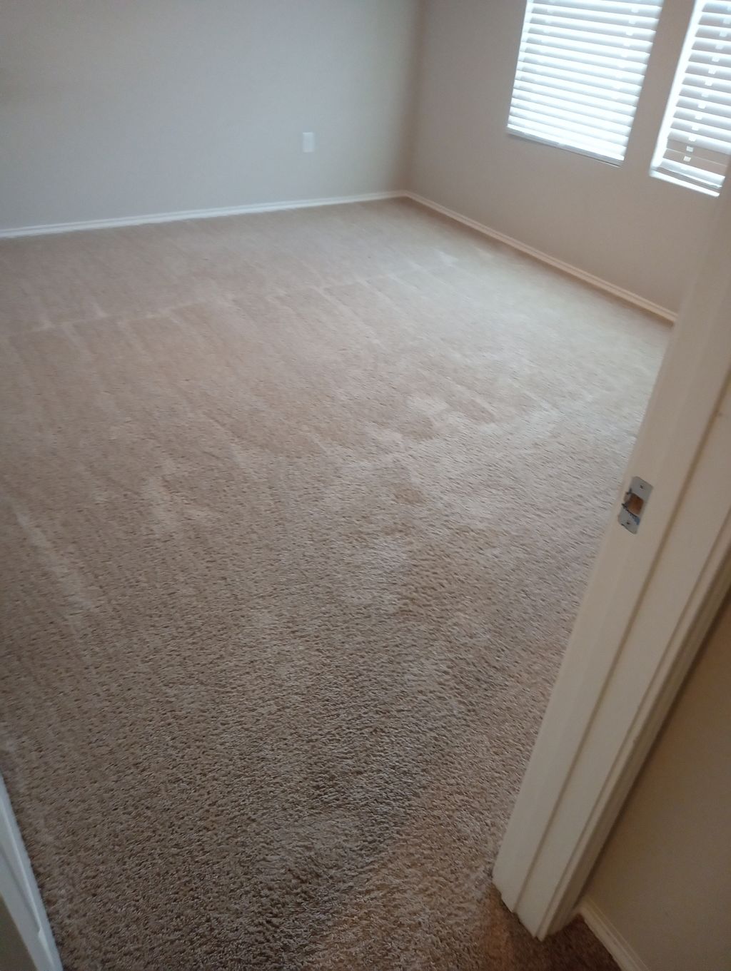 Carpet Cleaning