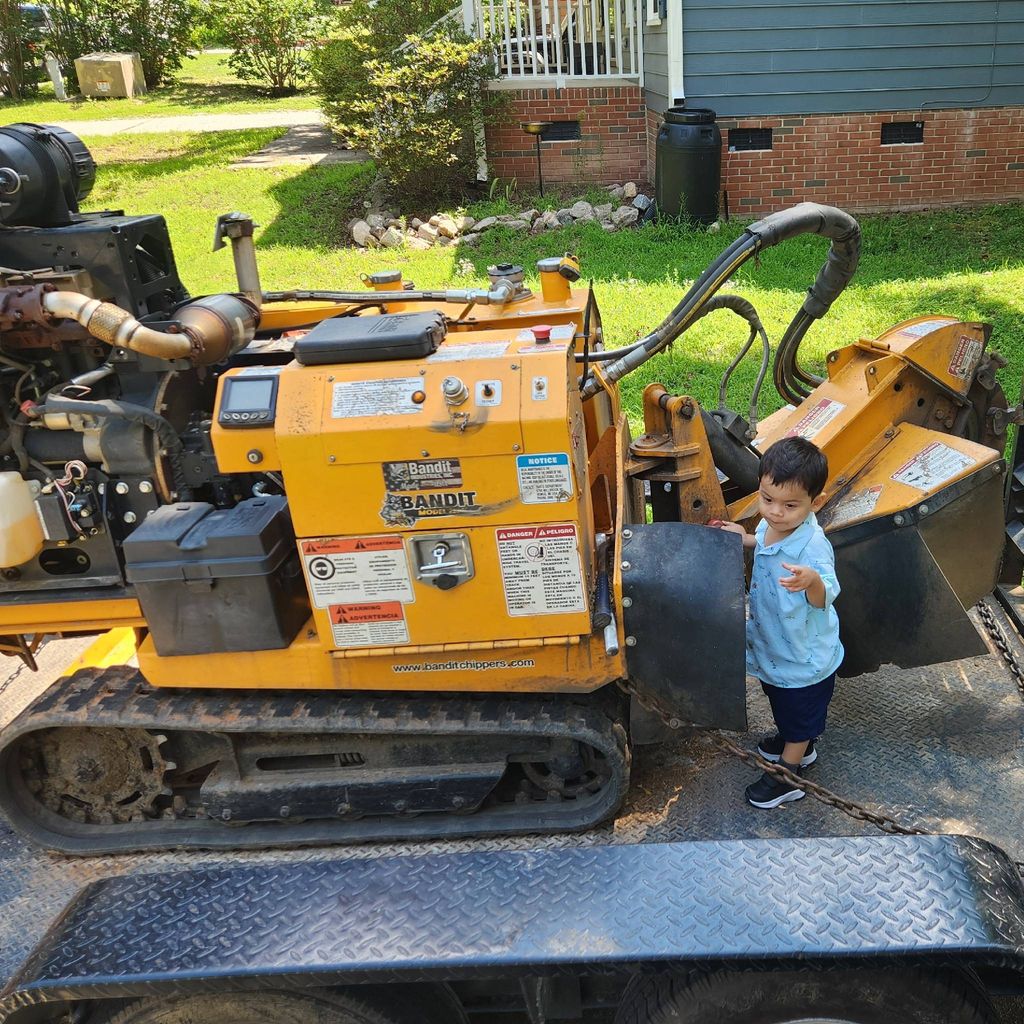 Nilson’s stump grinder