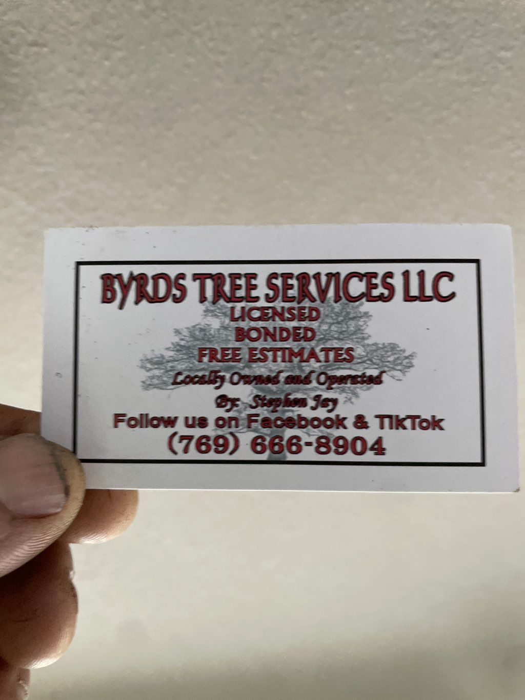 Byrds Tree Services Llc | Newton, MS | Thumbtack