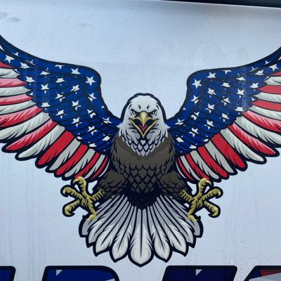 Avatar for Bald Eagle Tree Services Inc