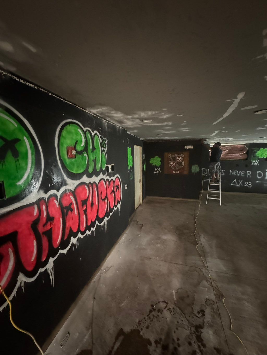Basement- before photo 