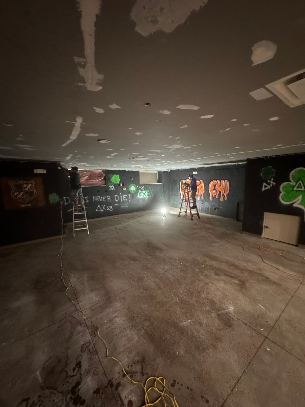 Basement- before photo 