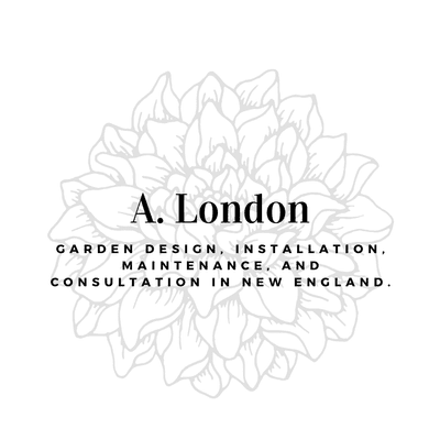 Avatar for A. London Design