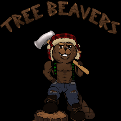 Avatar for Tree Beavers Professional Tree Service