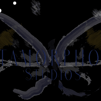 Avatar for Metamorphosis Studios LLC