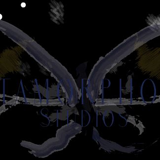 Metamorphosis Studios LLC