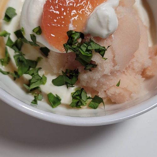 Grapefruit Basil Sorbetro 