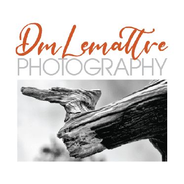 DmLemattre Photography