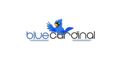 Avatar for Blue Cardinal Transfer