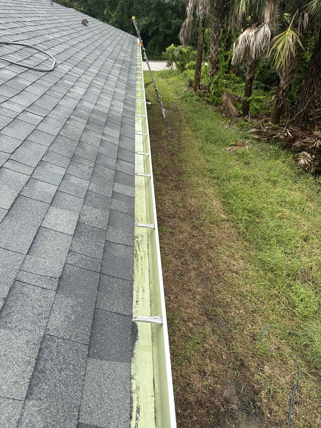 Gutter Cleaning and Maintenance