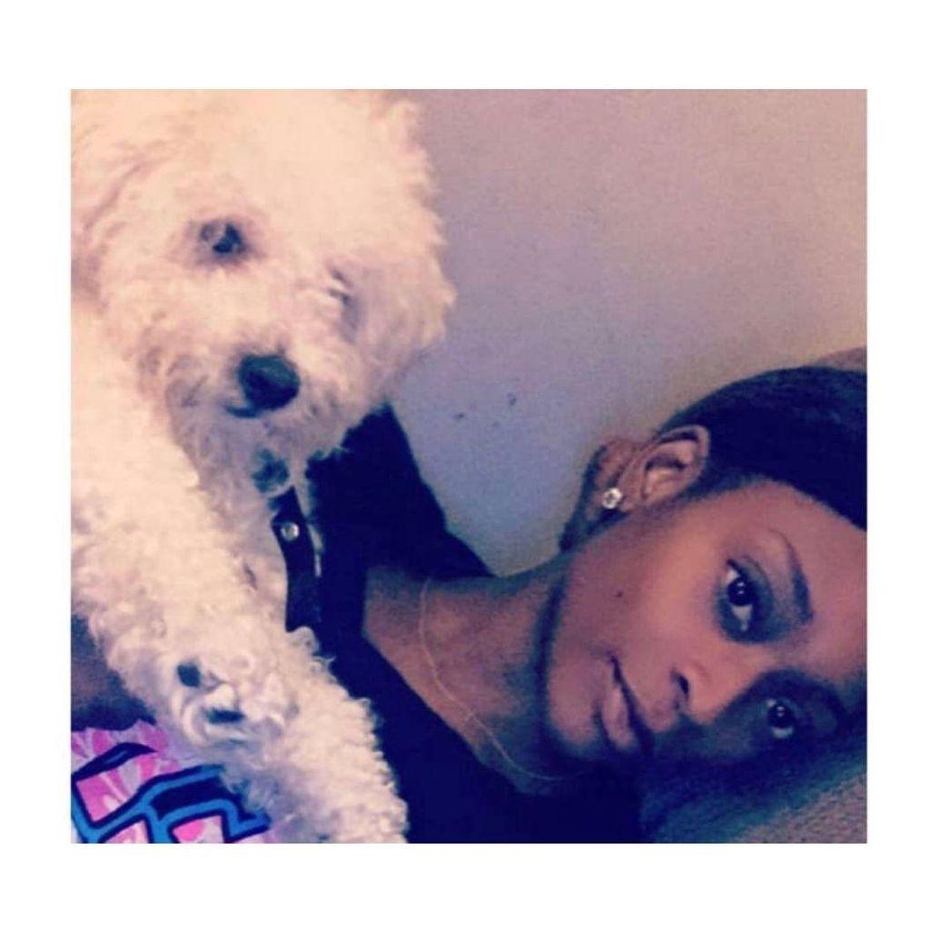🐾 royalpawstay 🐶 🐾