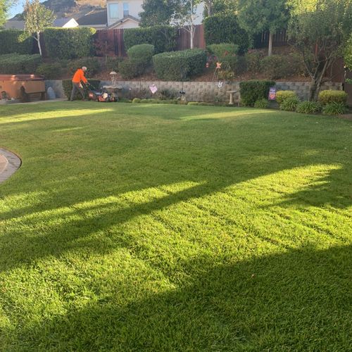 Full Service Lawn Care