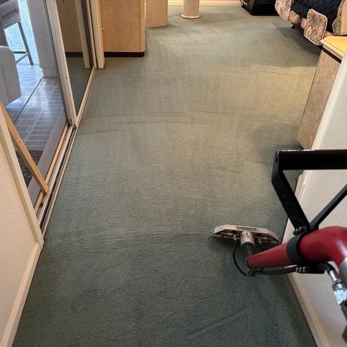 Carpet Steam Cleaning Sanitized (Truckmounted)