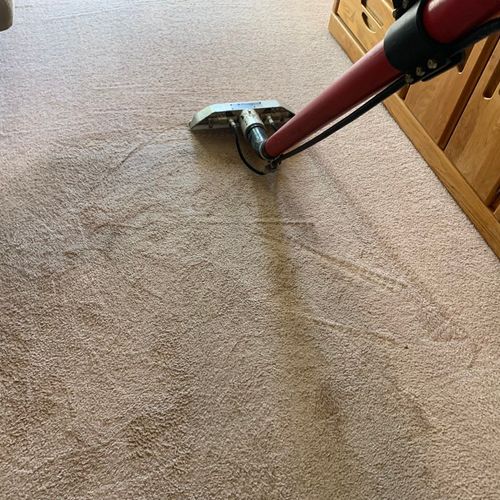 Carpet Steam Cleaning Sanitized (Truckmounted)