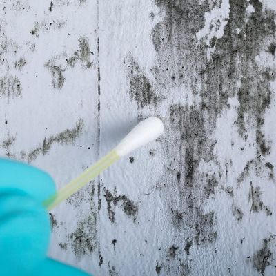 Avatar for Apex mold inspection