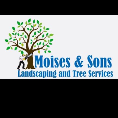 Avatar for Moisés & sons