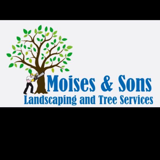 Moisés & sons