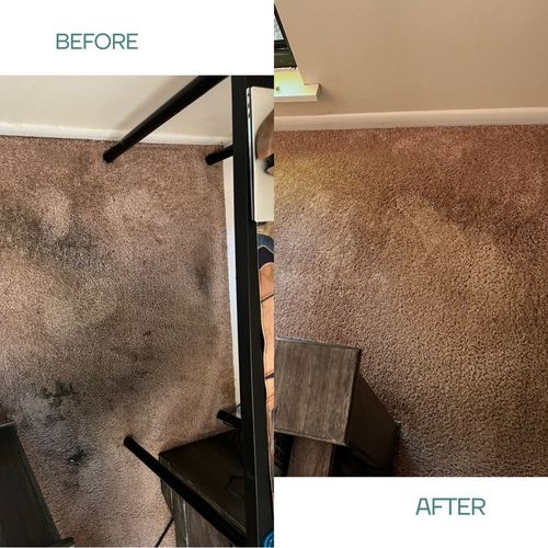 Just Rust Flooring Bethel Park, PA Thumbtack