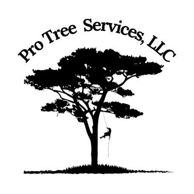 Avatar for Pro Tree Services LLC