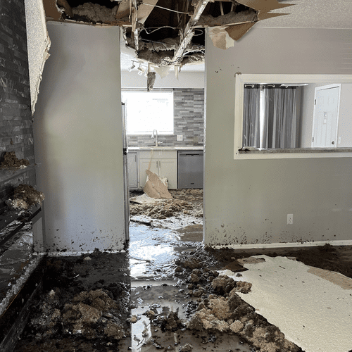 Water Damage Cleanup and Restoration