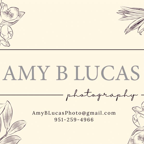 Amy B Lucas Photography