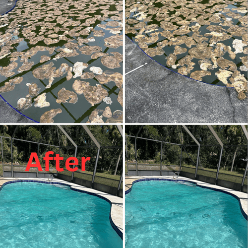 Swimming Pool Cleaning, Maintenance, and Inspection