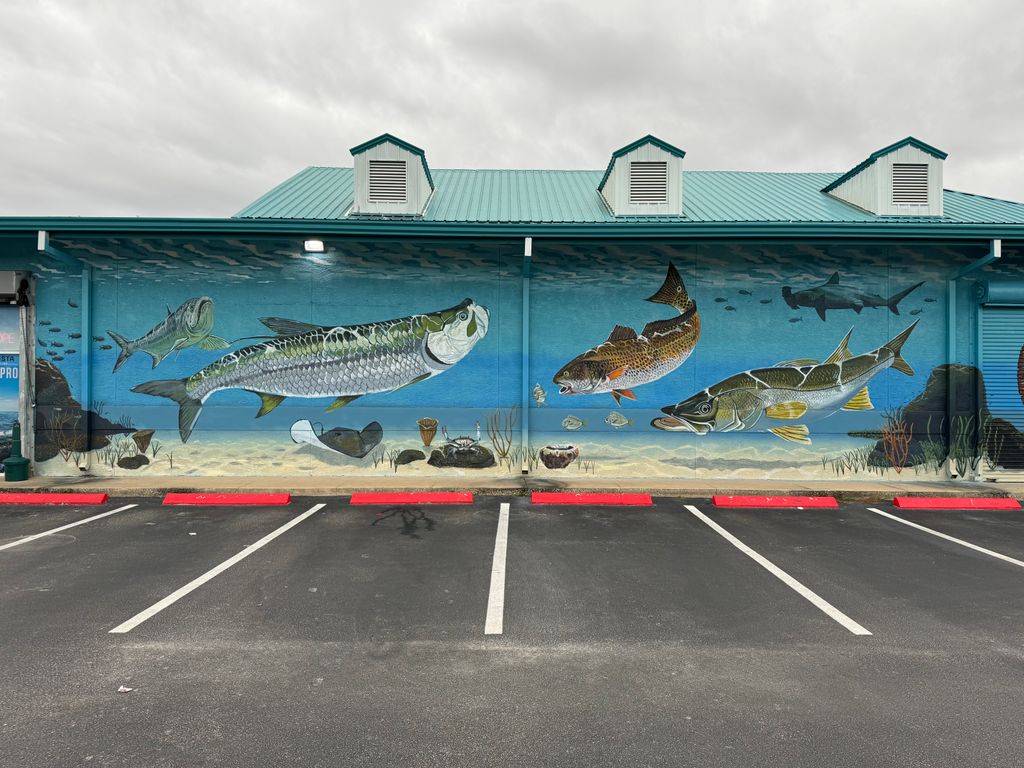 Tarpon Fishing Outfitters - Holiday, FL