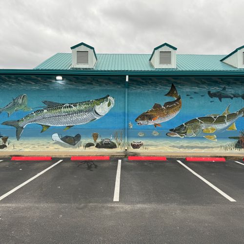 Tarpon Fishing Outfitters - Holiday, FL