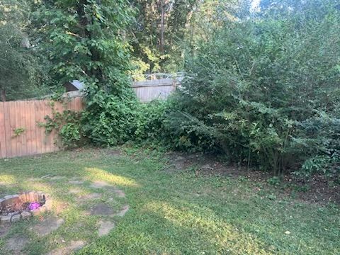 Shrub Trimming and Removal