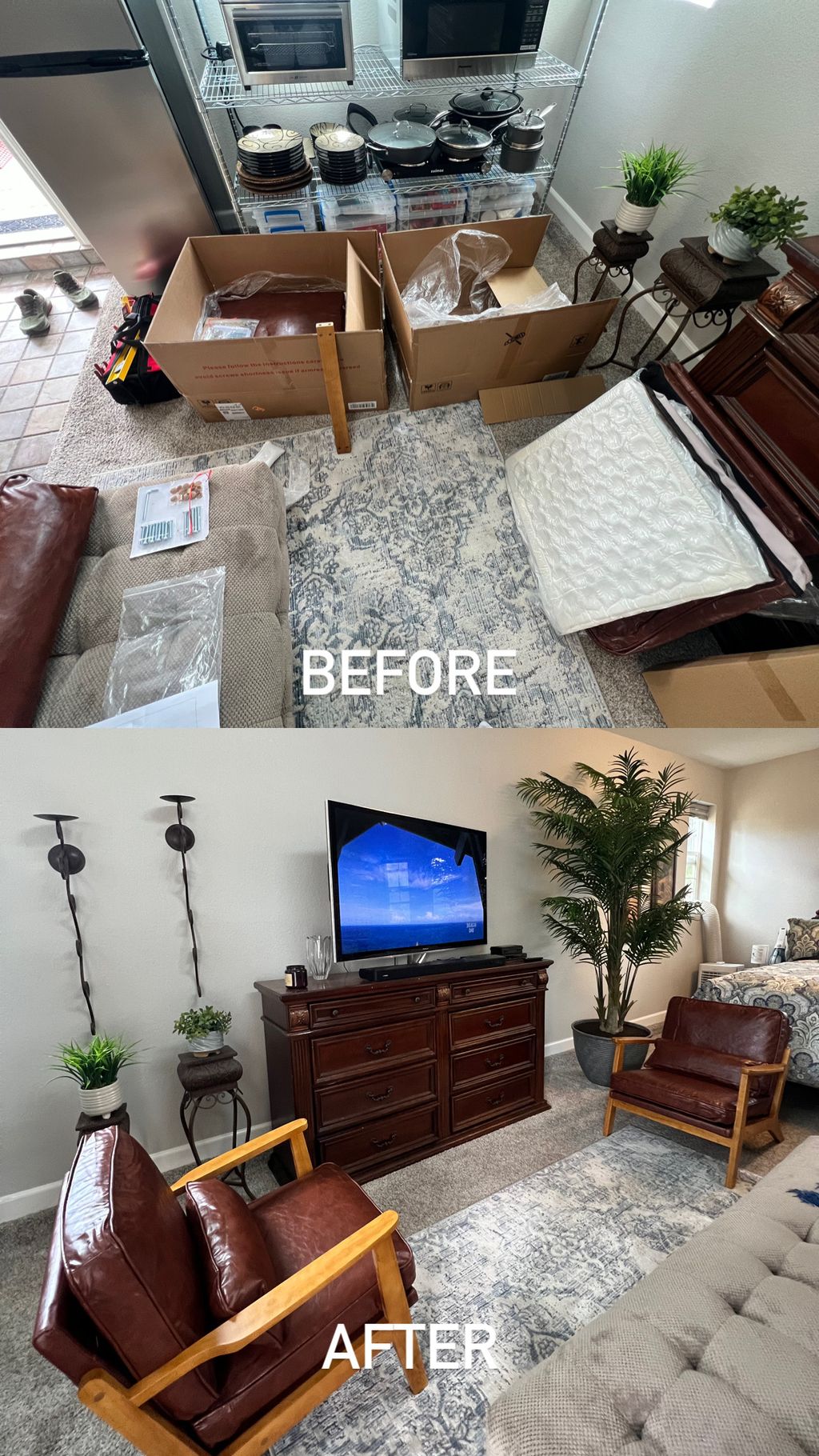 Projects and media