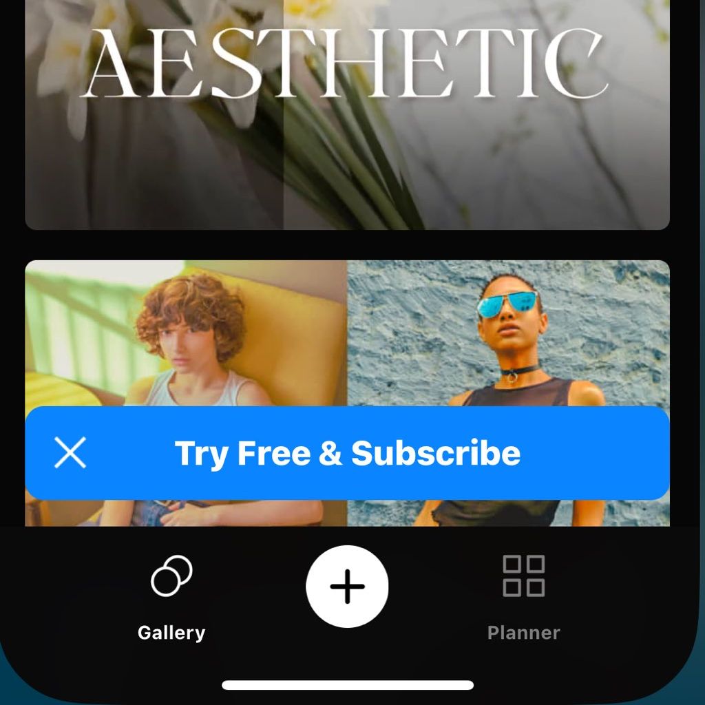 pro avatar