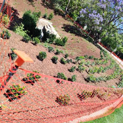 Avatar for CA irrigation landscape design