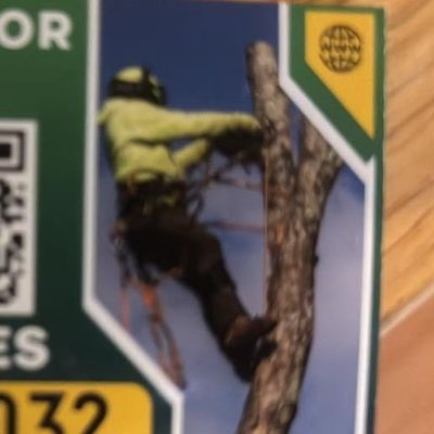 Avatar for Stokes Outdoor Tree Service