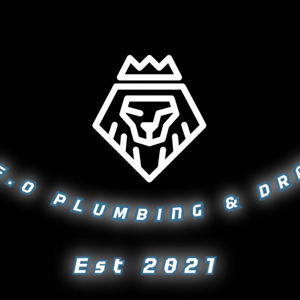 L.E.O. PLUMBING & DRAIN