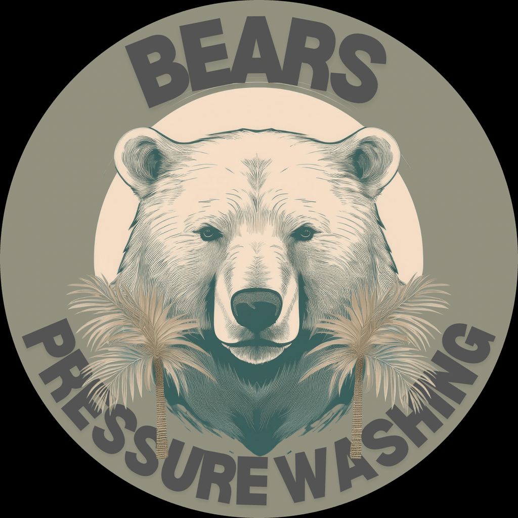 Bears Pressure Washing