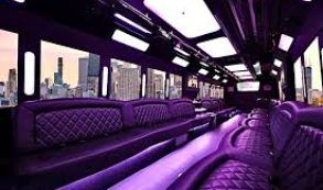 Party Bus Rental