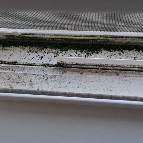 Mrs. Mary Cleaning Service Llc. Raleigh, NC Thumbtack