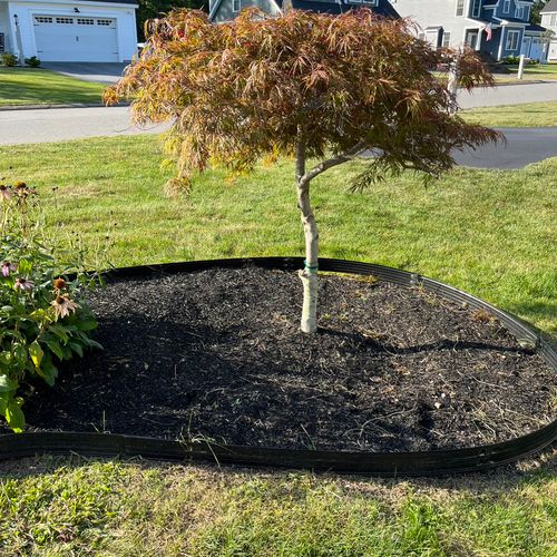 We needed to have a tree moved in our yard and it 