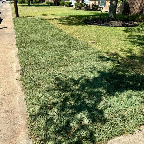 Sod Installation