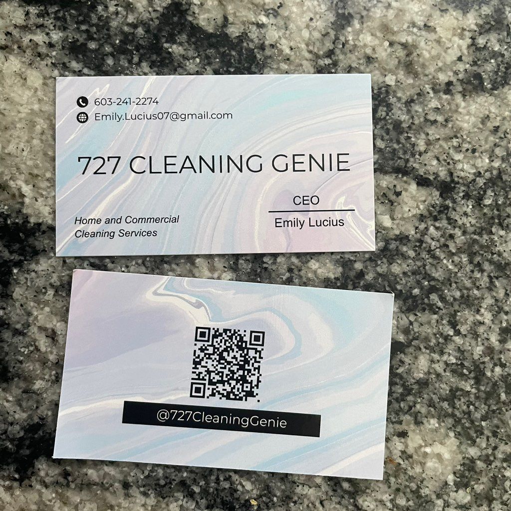 727 Cleaning Genie