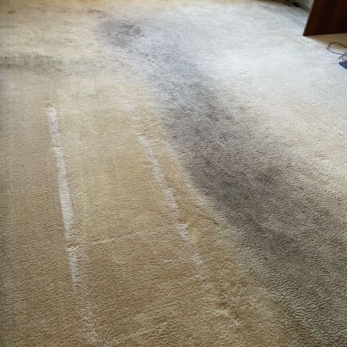 Carpet Cleaning