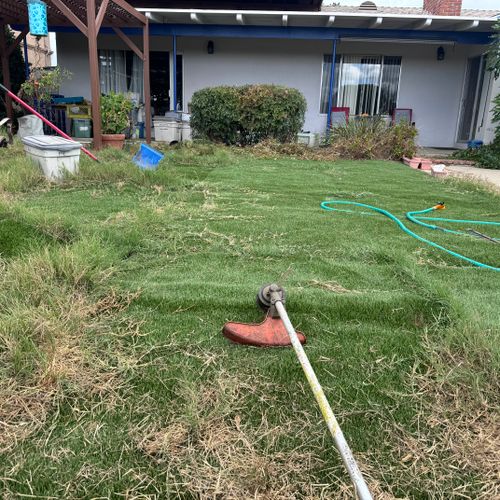 Lawn Mowing and Trimming